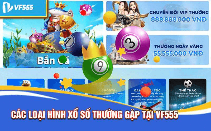 Xổ số VF555 - Cổng game xổ số uy tín hàng đầu Việt Nam